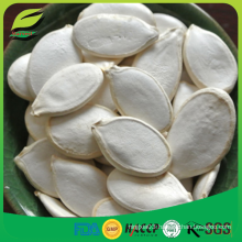 Chinese snow white pumpkin seeds suppliers 2016